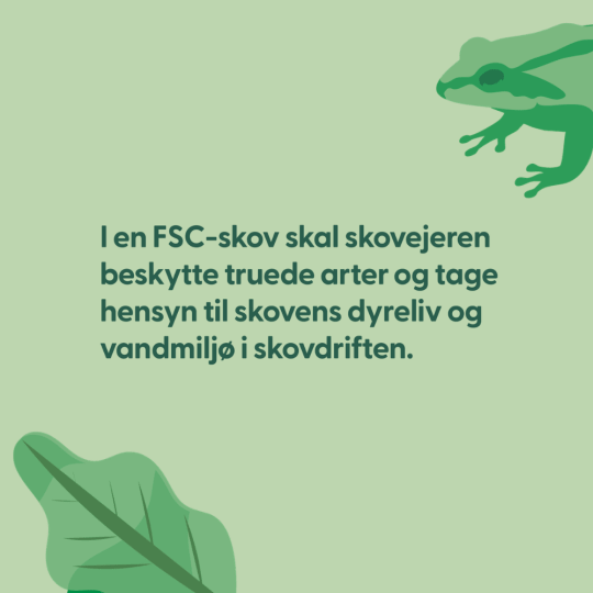 Fortæller at i en FSC skov skal skovejeren beskytte truede arter og tage hensyn til dyreliv