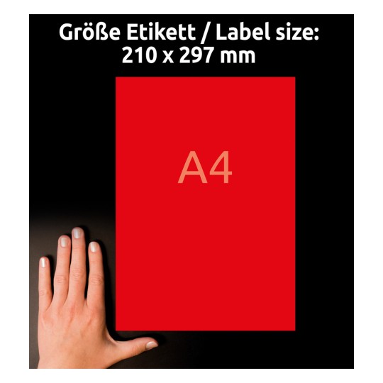 Billedet viser en rød A4-etiket med dimensioner 210 x 297 mm. En hånd er placeret ved siden af etiketten som størrelsesreference.