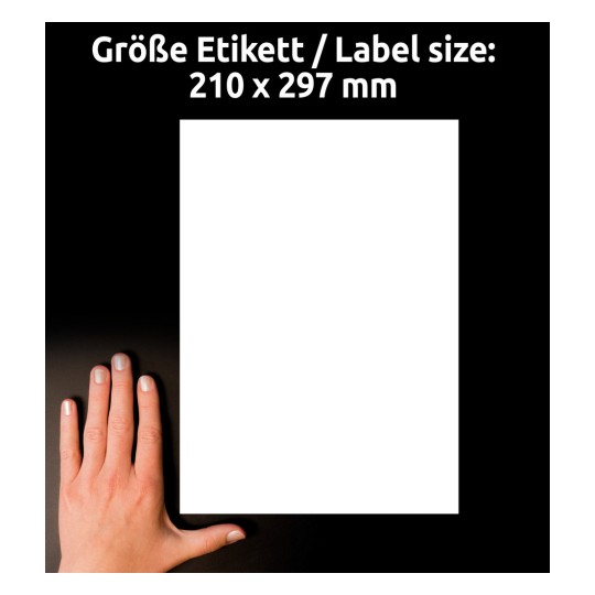 Størrelsessammenligning med hånd, artikel: B4775-50, et ark ultra-resistente folie-etiketter, format: 210 x 297 mm, farve: hvid?
