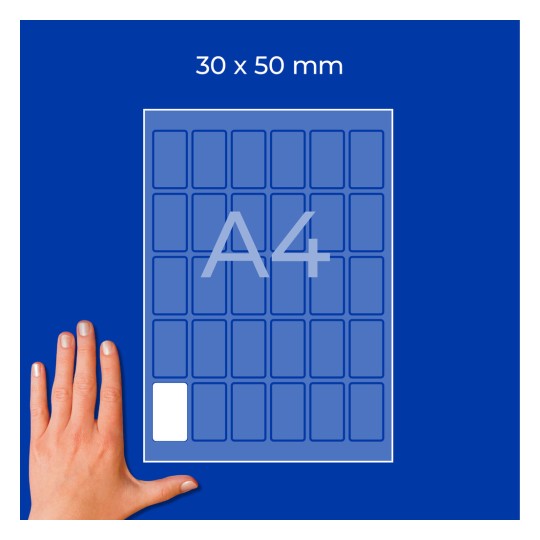 Hånd ved siden af et A4-ark-diagram mærket 30 x 50 mm med små rektangulære celler?