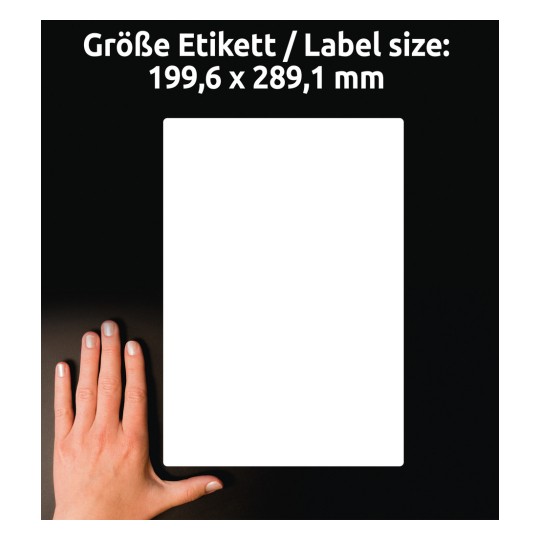 Størrelsessammenligning med hånd, artikel: L7997-25, et ark forsendelsesetiketter, format: 199,6 x 289,1 mm, farve: hvid
