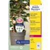 Pakningsbillede: Avery Zweckform, Artikel: T3005-10, Format: 100 x 20 mm, Printeregnethed: Laser s/h, Farvelaser, Indhold: 120 stykker / 10 ark, 12 stykker/ark