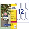 Pakningsbillede med etiketark: Avery Zweckform Indsats-Skilte, Artikel: T3005-10, Format: 100 x 20 mm, Trykegnet til: Sort/hvid laser, Farvelaser, Indhold: 120 stykker / 10 ark, 12 stykker/ark